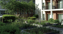 Roppongi Hills Residence D Garden Terrace