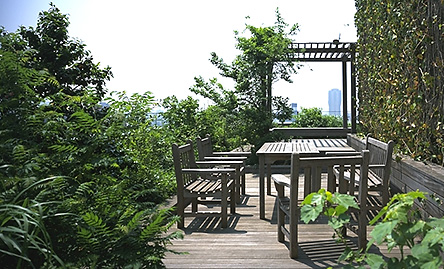 ARK Forest Terrace Rooftop Garden